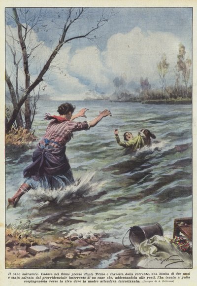 De reddingshond door Achille Beltrame