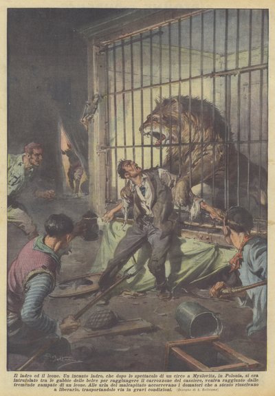 De dief en de leeuw door Achille Beltrame