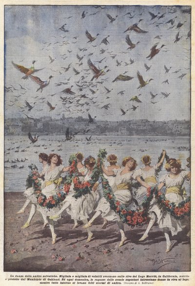 De dans van de wilde eenden door Achille Beltrame