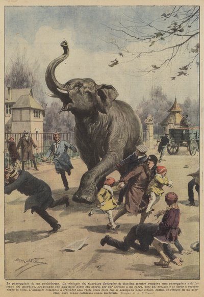 De wandeling van een pachyderm door Achille Beltrame