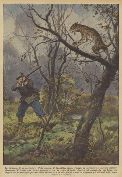 De verrassing van een jager door Achille Beltrame