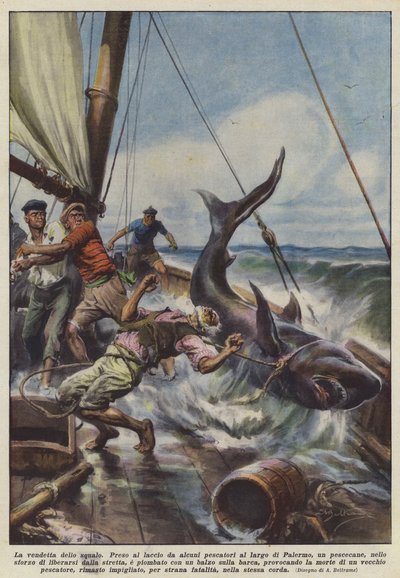 De wraak van de haai door Achille Beltrame