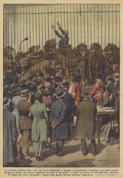 De veiling van de wilde dieren van het Schneider-circus in Napels door Achille Beltrame