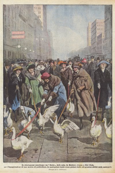 De Amerikaanse eigenaardigheden, een ganzenrace op Madison Avenue in New York, voor de opening ? door Achille Beltrame