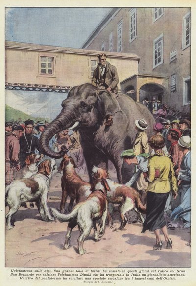 De olifant op de Alpen door Achille Beltrame