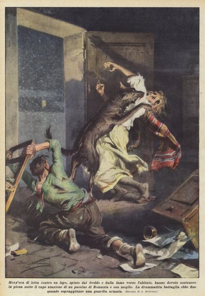 Een half uur vechten tegen een wolf, gedreven door kou en honger naar de bewoonde wereld door Achille Beltrame
