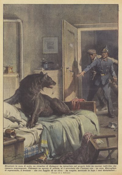 Bij thuiskomst 
