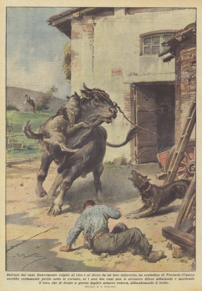 Geredd door honden door Achille Beltrame