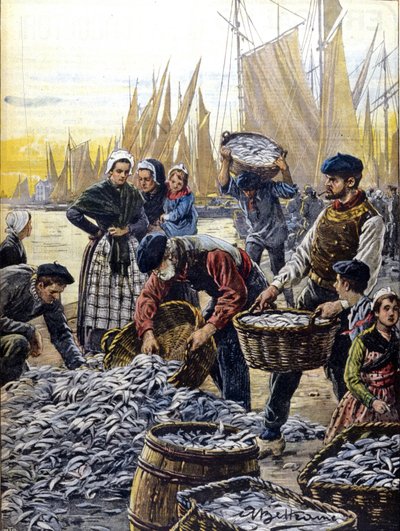 Sardinevisserij in Bretagne in 1903 illustratie door Achille Beltrame door Achille Beltrame