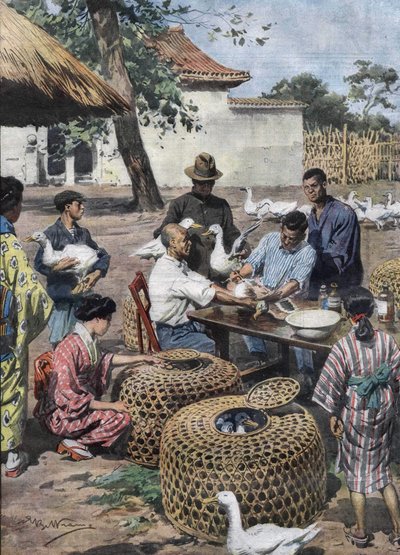 Keizerlijk Paleistuin van Tokio: vaccinatie en veterinaire hulp voor eenden om hen te beschermen tegen cholera. Illustratie van Achille Beltrame uit 1928. door Achille Beltrame