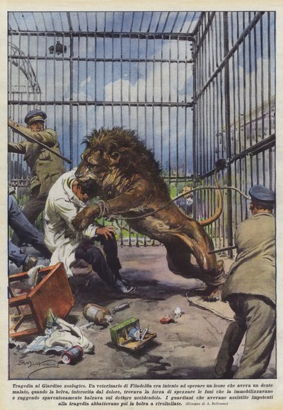 Tragedie in de dierentuin door Achille Beltrame