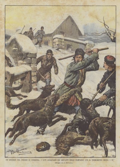Een episode van de kou in Hongarije, wolven vallen de bewoners van het platteland aan waar de thermometer -15°C aangeeft door Achille Beltrame