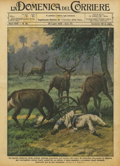 Een inheemse politieagent in India drong het hertenkamp van de dierentuin binnen door Achille Beltrame
