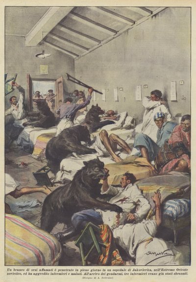 Een hongerige berenroedel drong overdag een ziekenhuis in Jakovlevka binnen door Achille Beltrame