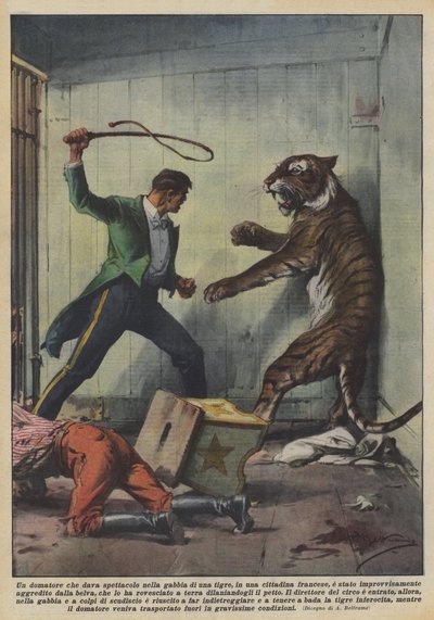 Een dompteur die een show gaf in de kooi van een tijger, in een Frans stadje door Achille Beltrame