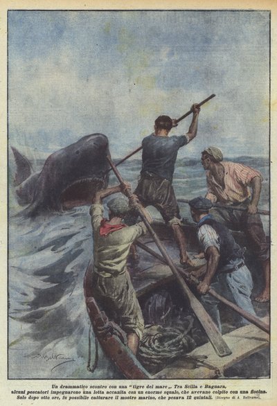 Een dramatische confrontatie met een zeetijger door Achille Beltrame