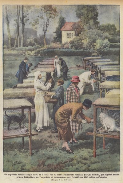 Een ander ziekenhuis door Achille Beltrame