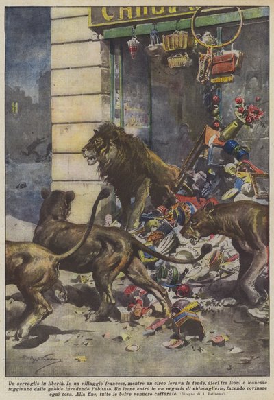 Een menagerie in vrijheid door Achille Beltrame
