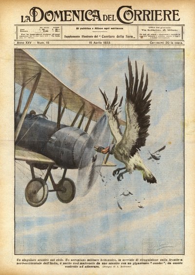 Een bijzondere confrontatie in de lucht door Achille Beltrame