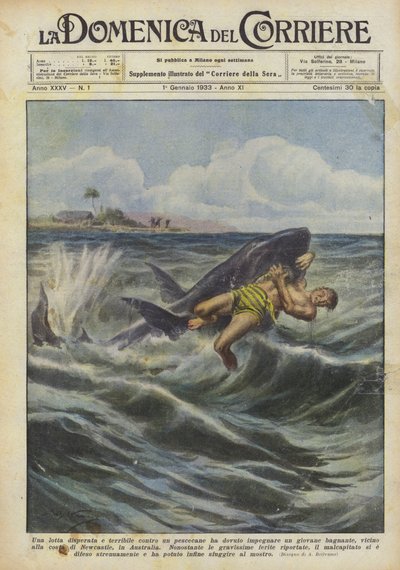 Een wanhopige en verschrikkelijke strijd tegen een haai moest een jonge zwemmer aangaan door Achille Beltrame