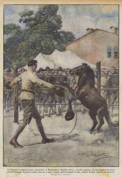 Een ongekende bokswedstrijd, in Washington, Battling Tony paard kampioen van de zwaargewichten... door Achille Beltrame