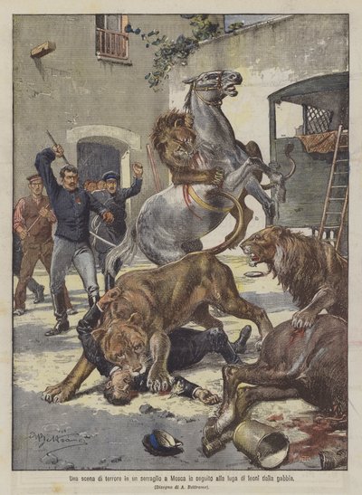 Een angstaanjagende scène in een dierentuin in Moskou na de ontsnapping van leeuwen uit hun kooi door Achille Beltrame
