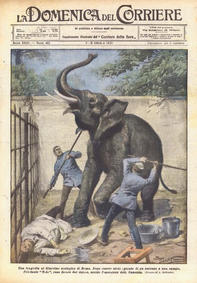 Een tragedie in de dierentuin van Rome door Achille Beltrame