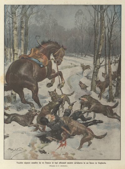 Oude heer aangevallen door een roedel hongerige wolven terwijl hij door een bos in Hongarije reed door Achille Beltrame