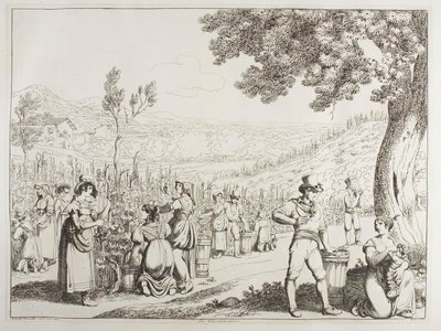 De wijnoogst door Achille Pinelli