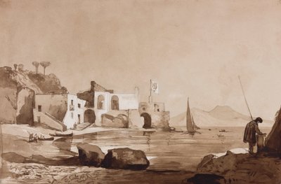Haven met de Borbone vlag en Vesuvius in het zuiden, met toevoegingen door een Borbone leerling door Achille Vianelli
