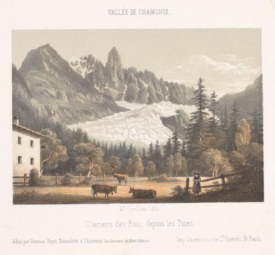 Zicht op Chamonix en de Mont Blanc vanuit het noorden door Ad. Cuvillier