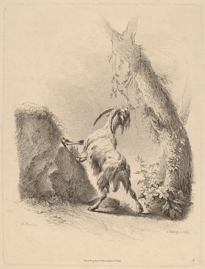 Geit in een Landschap door Adam von Bartsch
