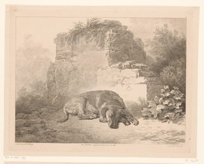 Slapende hond voor een muur (Dieren naar schilderijen van Hollandse meesters) door Adam von Bartsch