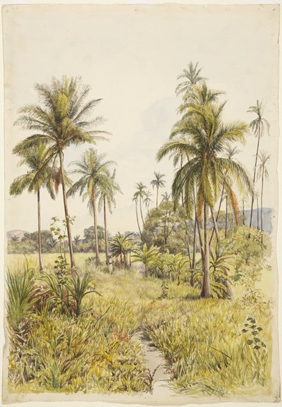 Palmbomen, Colima door Adela Breton