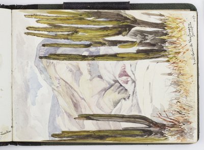 Schetsboek van aquarellen, tekeningen en notities, Mexico, 1896-1898 door Adela Breton