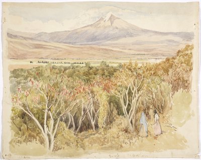 De vulkaan Popocatépetl vanuit Yautepec, Staat Morelos, Mexico door Adela Breton