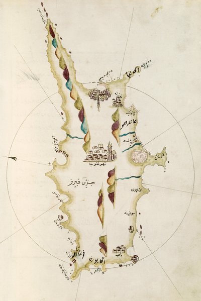 Kaart van het eiland Cyprus, illustratie uit Portolano-atlas door admiraal Piri Reis door Admiral Piri Reis