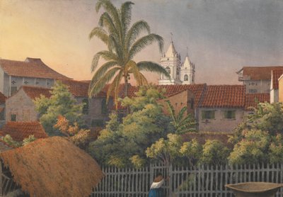 Vanuit een achterraam in Panama, 10 maart 1850 door Admiral Sir Edward Gennys Fanshawe