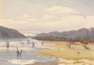 Meer van Acoleo, Chili, 11 januari 1851 door Admiral Sir Edward Gennys Fanshawe