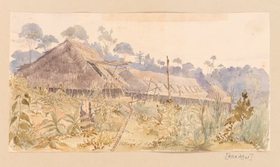 Dorp van de Stang-stam uit West-Indië, Noord-Amerika en Borneo plakboek door Admiral Sir Edward Gennys Fanshawe