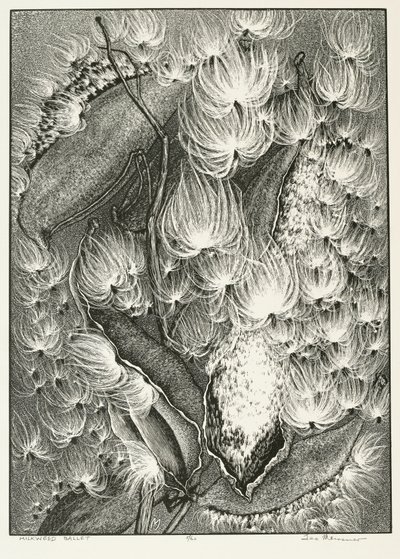 Milkweed Ballet door Adolf Ernst Meissner