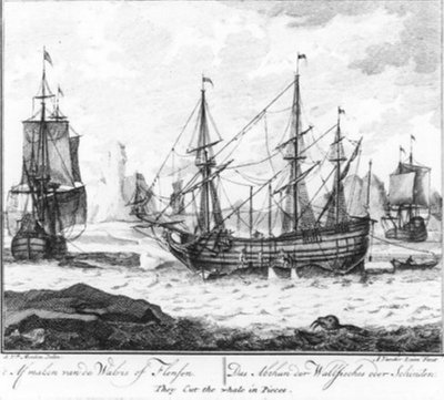  door Adolf van der Laan
