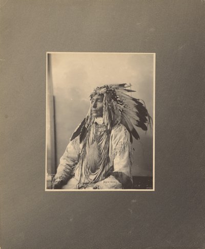 Dood gevlekt paard, Assiniboines door Adolph F. Muhr