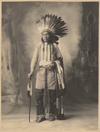 [Indiaanse man]. door Adolph F. Muhr