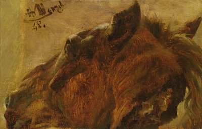 Hoofd van een dood paard, 1848 door Adolph Menzel