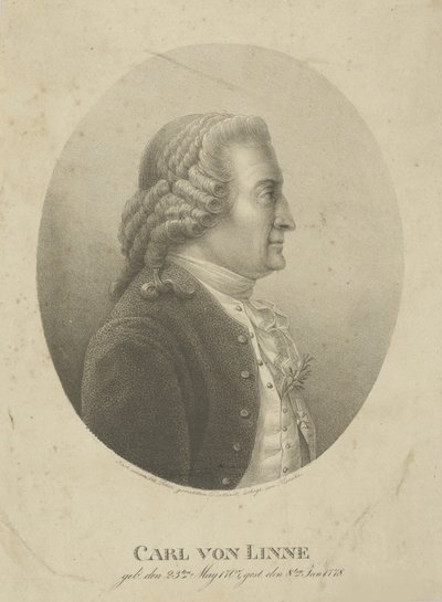 Portret van Carl Linnaeus 1707-1778 door Adolph Friedrich Kunike