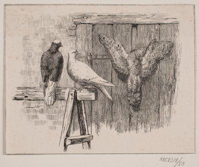 De duiven door Johan Adolph Kittendorff