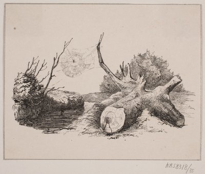 De Spin door Johan Adolph Kittendorff