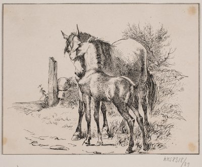 Het paard en het veulen door Johan Adolph Kittendorff