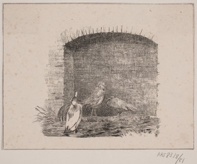 De kippen en eenden door Johan Adolph Kittendorff